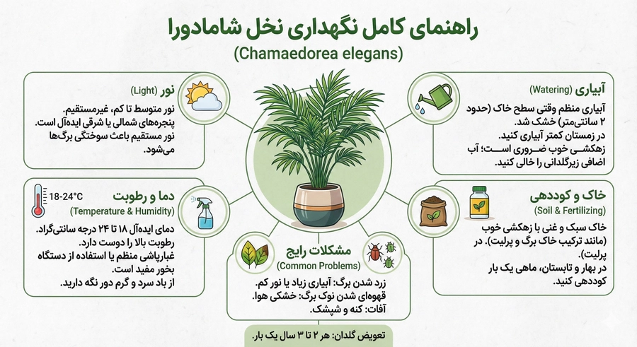 نخل شامادورا