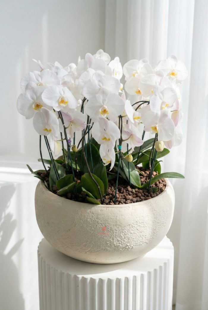 مجموعه تسلیت کد 7001 - Image 1