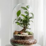 دو شیشه بنسای کد 8015