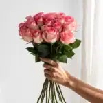 دسته گل رز صورتی 20 شاخه کد 10053