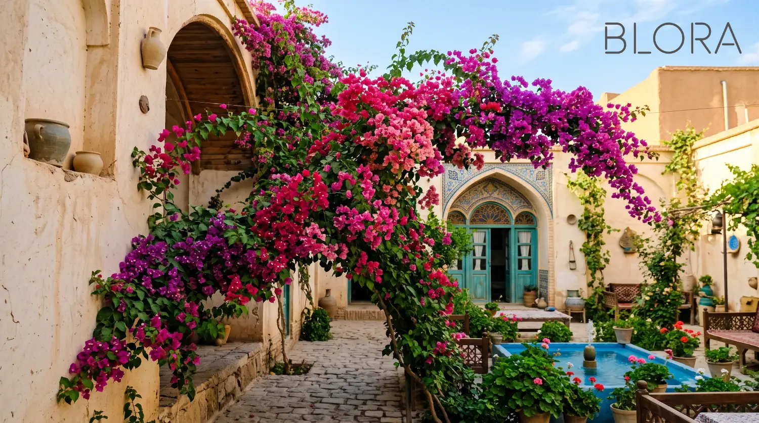 گل کاغذی