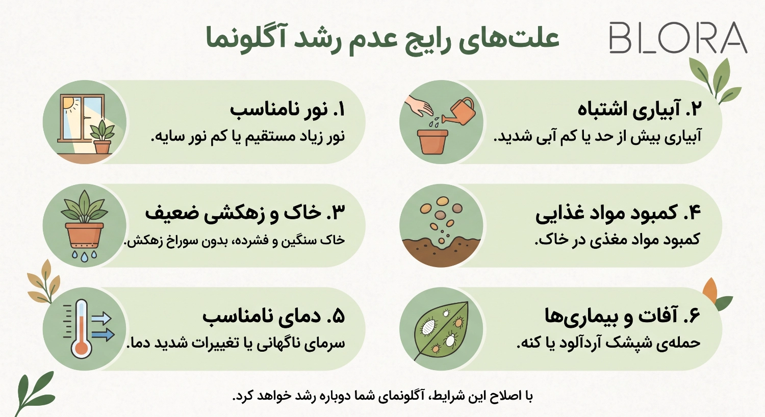 علت رشد نکردن آگلونما