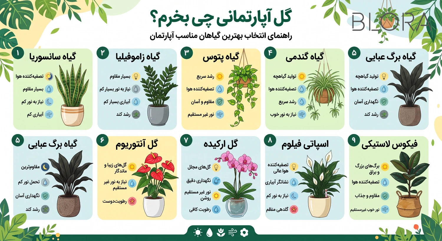 گل آپارتمانی چی بخرم؟